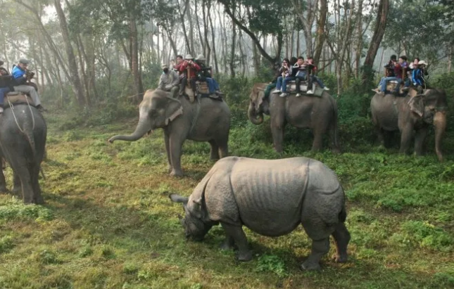 ANNAPURNA CHITWAN HOLIDAYS