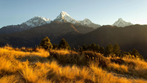 GORKHA-BANDIPUR-POKHARA TOUR